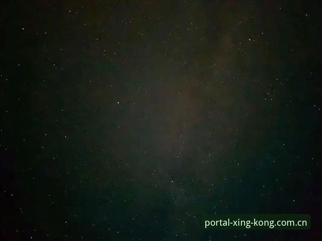 资深用户分享：星空平台登录推荐的高效操作心得